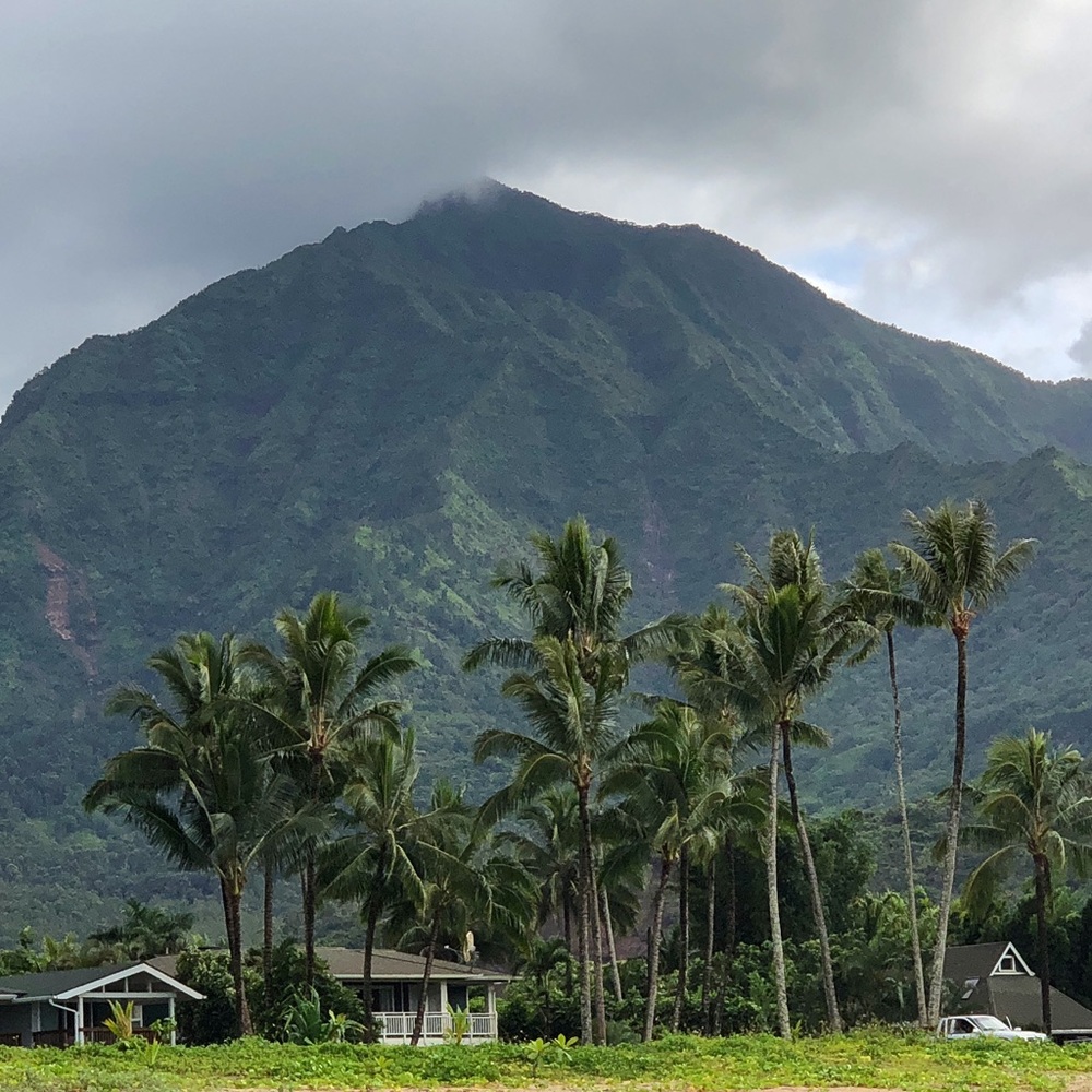 Meet your Posher, Bridget